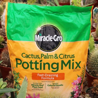 Miracle Gro Cactus Palm & Citrus Potting Mix | TLC Garden Centers