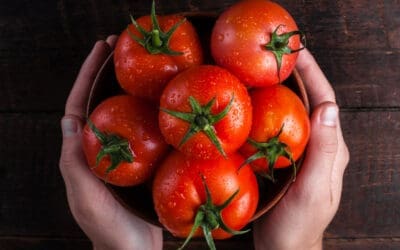 The Complete Tomato Guide